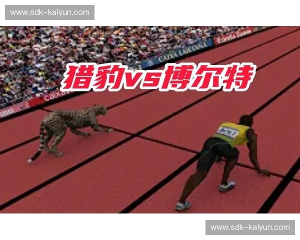 陆地之王与人类闪电的终极博弈：猎豹100米vs博尔特视频背后的速度美学